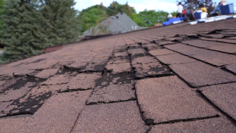 Fast & Reliable Emergency Roof Repairs in (206) 761-73260